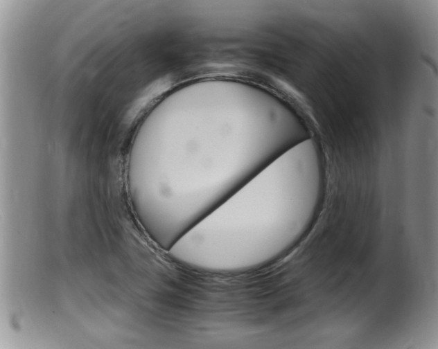 X0000099531411200805160714