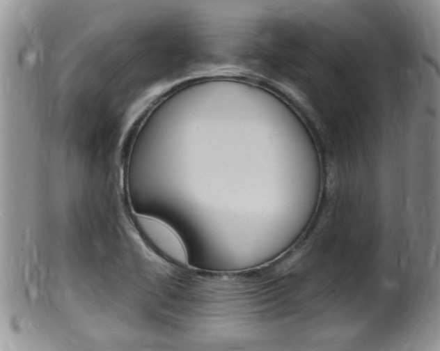 X0000099531414200805160714