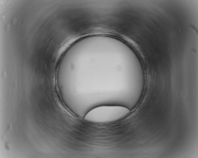 X0000099531415200805160714