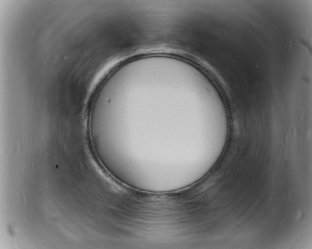 X0000099531416200805160714