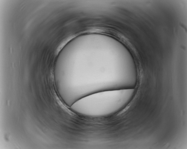 X0000099531417200805160714