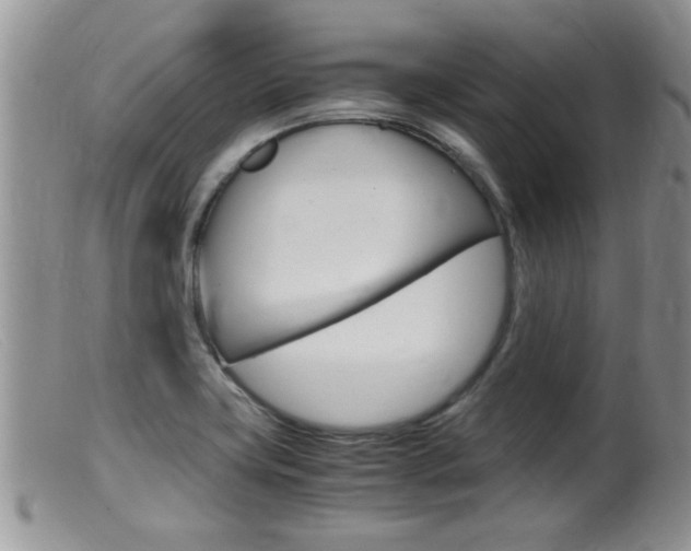 X0000099531419200805160714
