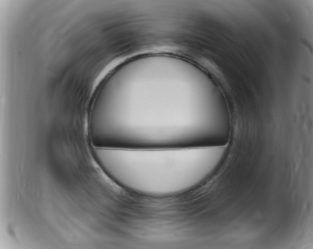 X0000099531420200805160714