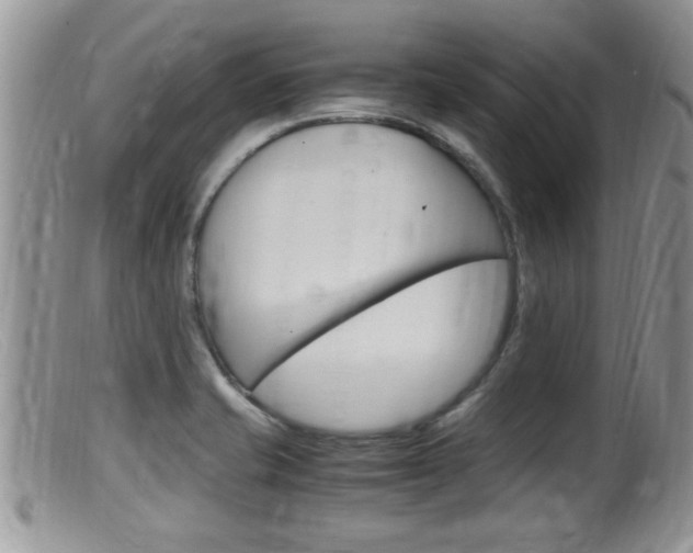X0000099531421200805160714