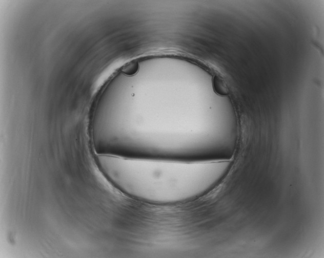 X0000099531422200805160714