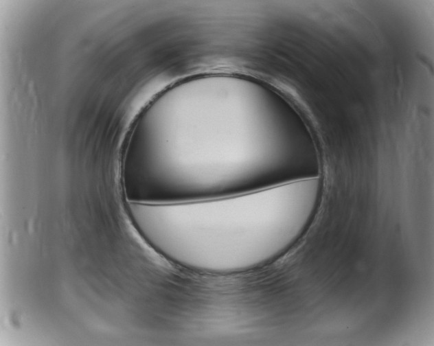 X0000099531424200805160714