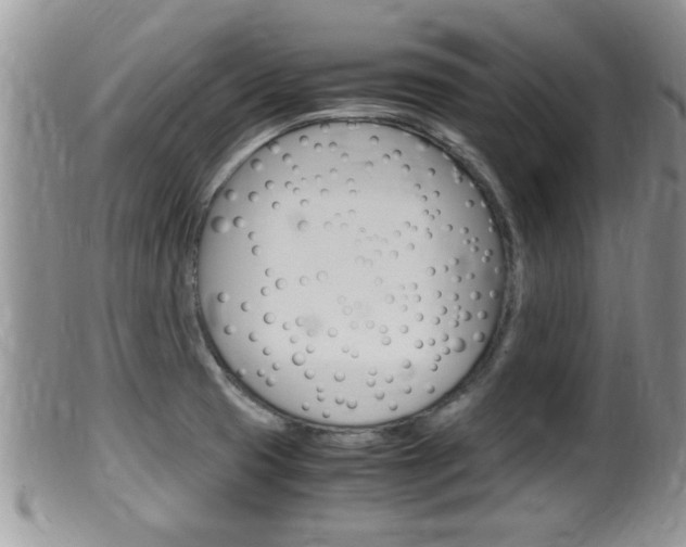 X0000099531425200805160714