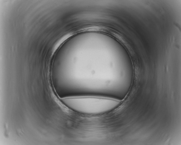 X0000099531426200805160714
