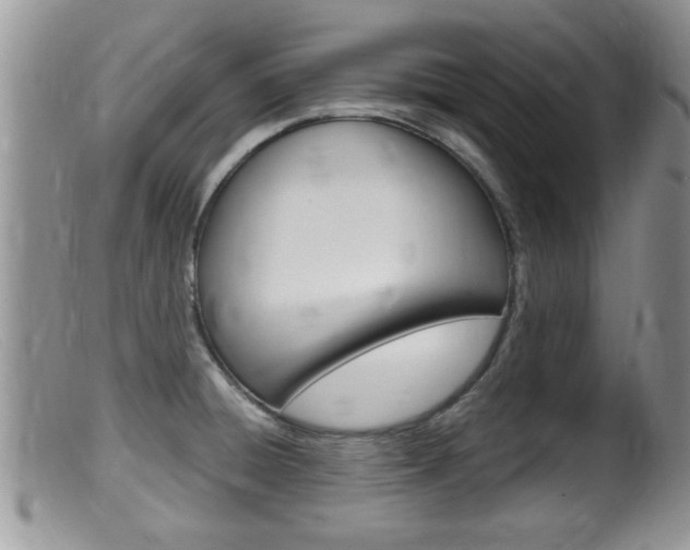 X0000099531428200805160714