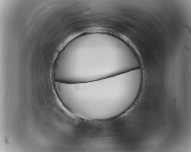X0000099531429200805160714