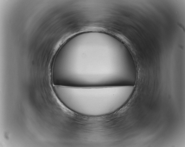 X0000099531430200805160714
