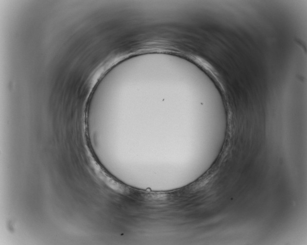 X0000099531431200805160714