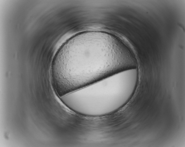 X0000099531432200805160714