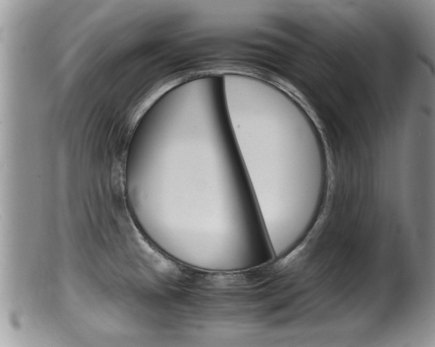 X0000099531433200805160714