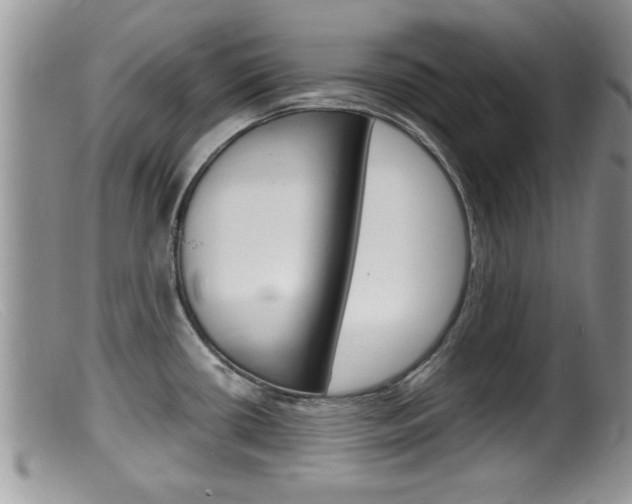 X0000099531434200805160714