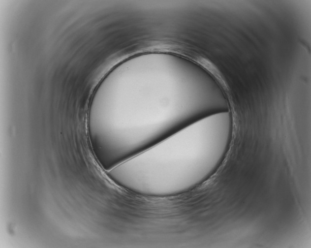 X0000099531436200805160714