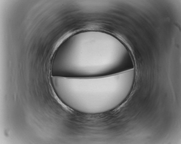 X0000099531437200805160714