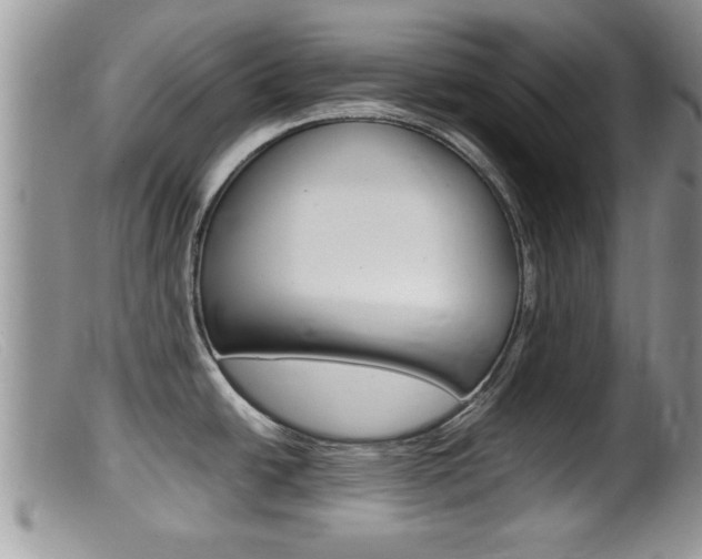 X0000099531438200805160714