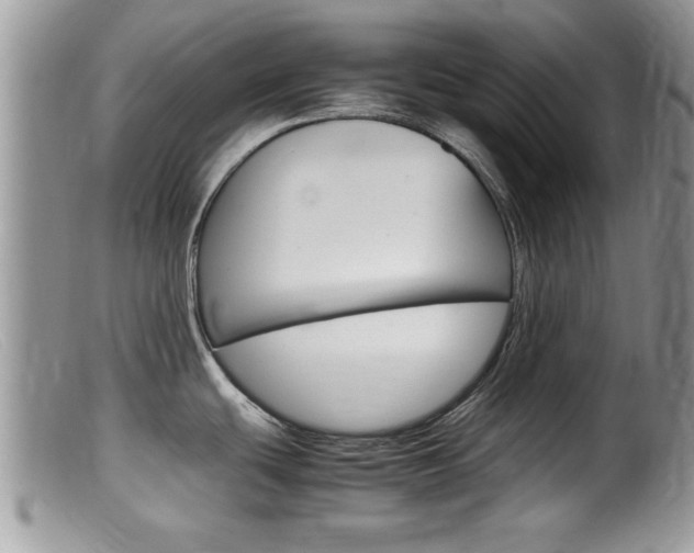 X0000099531439200805160714