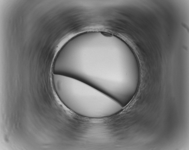 X0000099531440200805160714
