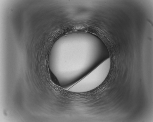 X0000099531441200805160714