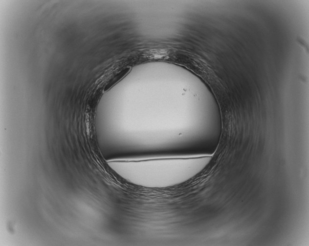X0000099531442200805160714