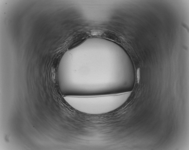 X0000099531443200805160714