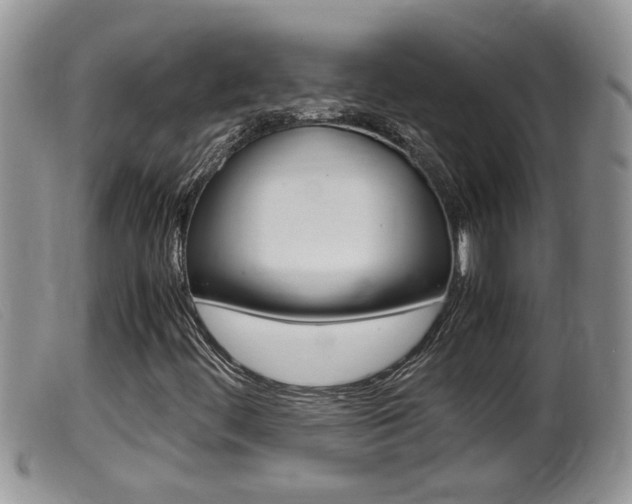 X0000099531444200805160714
