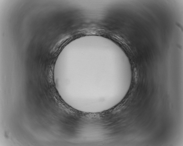 X0000099531446200805160714