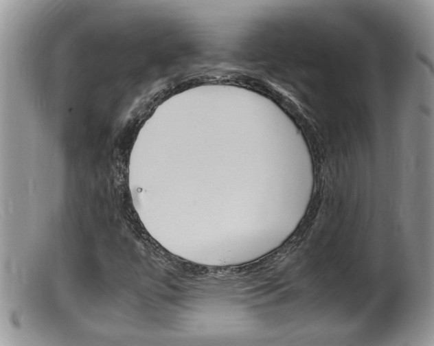 X0000099531447200805160714