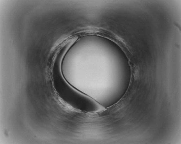 X0000099531448200805160714