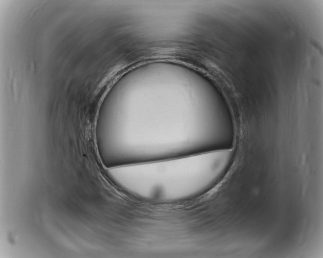 X0000099531449200805160714