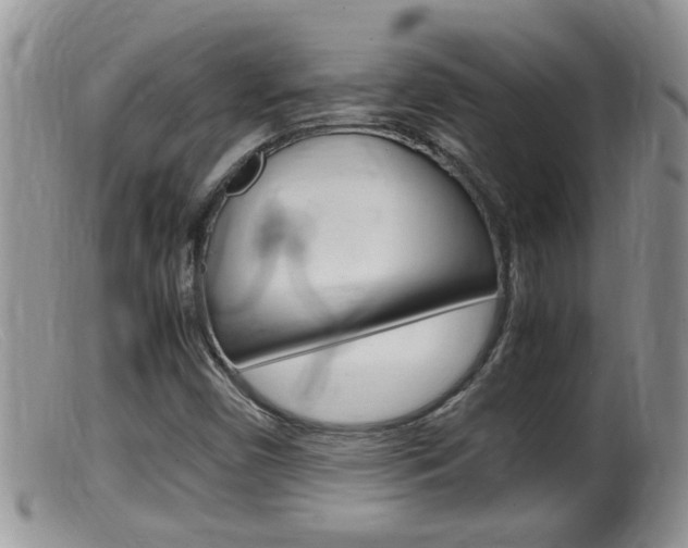 X0000099531450200805160714