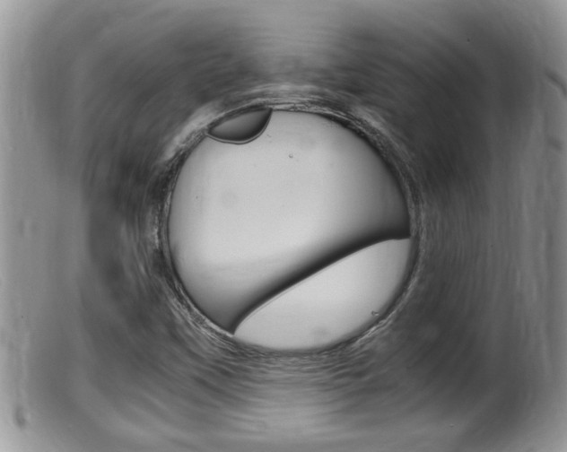 X0000099531451200805160714