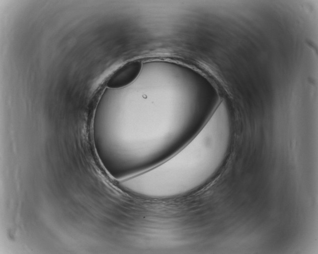 X0000099531452200805160714