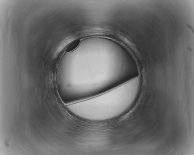 X0000099531453200805160714