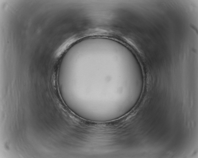 X0000099531455200805160714