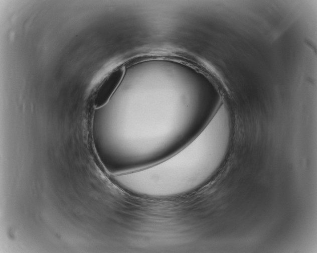 X0000099531456200805160714