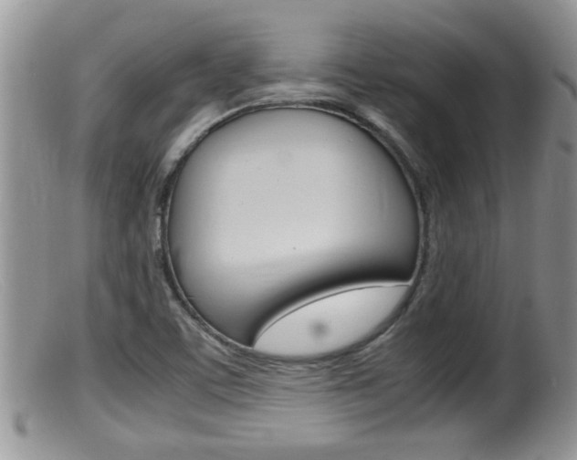 X0000099531459200805160714