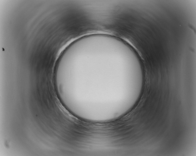 X0000099531460200805160714