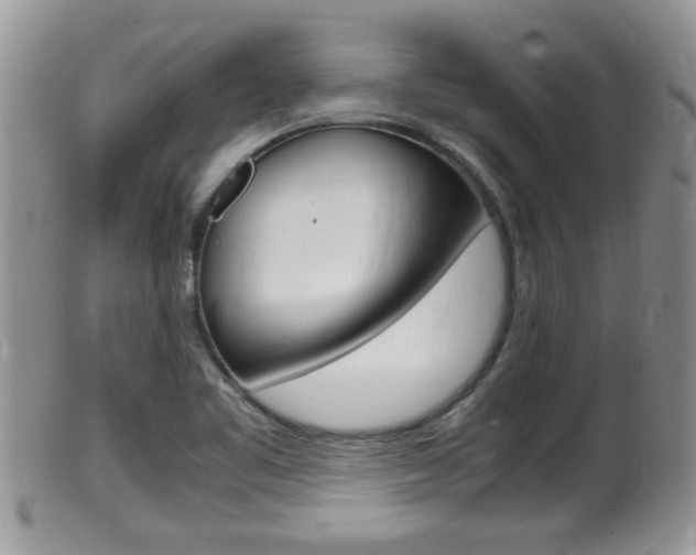 X0000099531461200805160713