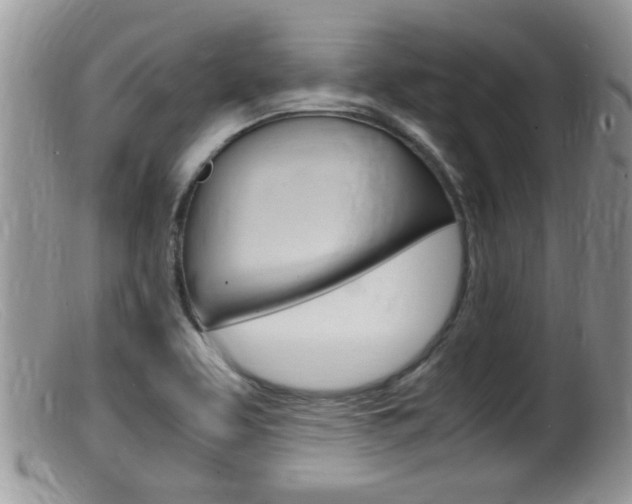 X0000099531463200805160713