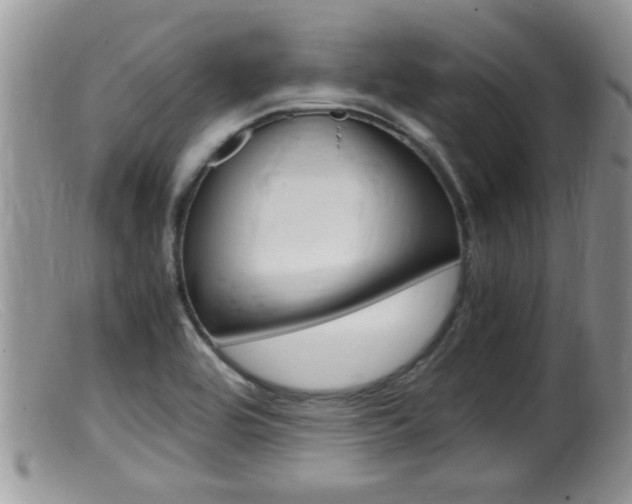 X0000099531464200805160713