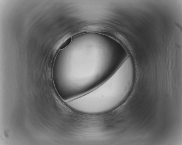X0000099531465200805160713