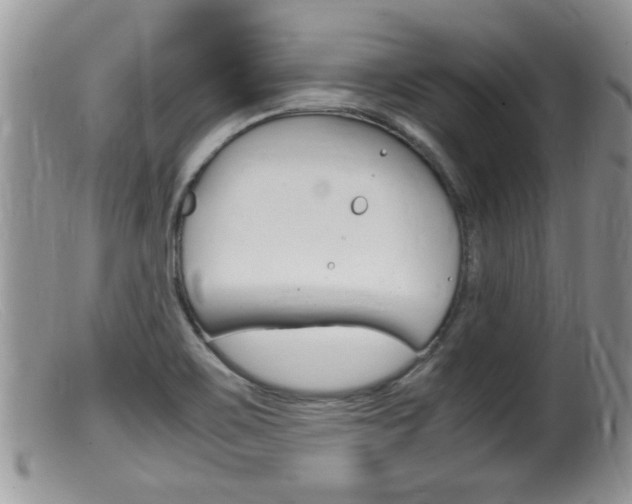 X0000099531467200805160713