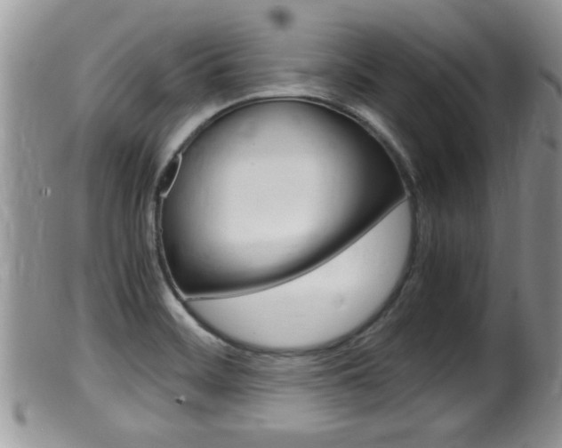 X0000099531468200805160713