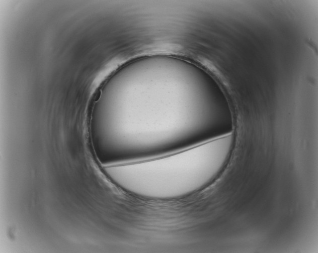 X0000099531469200805160713