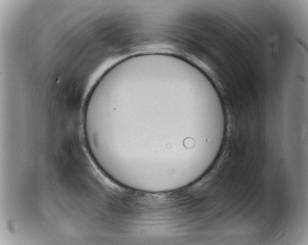 X0000099531470200805160713