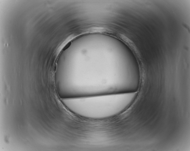 X0000099531473200805160713