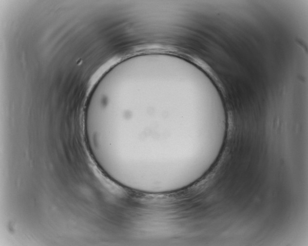 X0000099531474200805160713